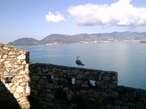 The seagulls are a bit larger here than in Oregon. Different sounds as well.