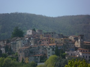 P1010589