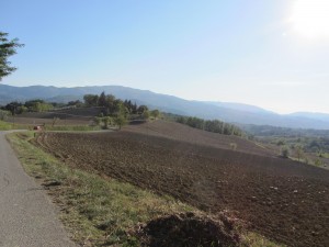 from a car in Tuscany