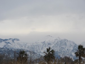 IMG_0760