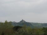 IMG_2445